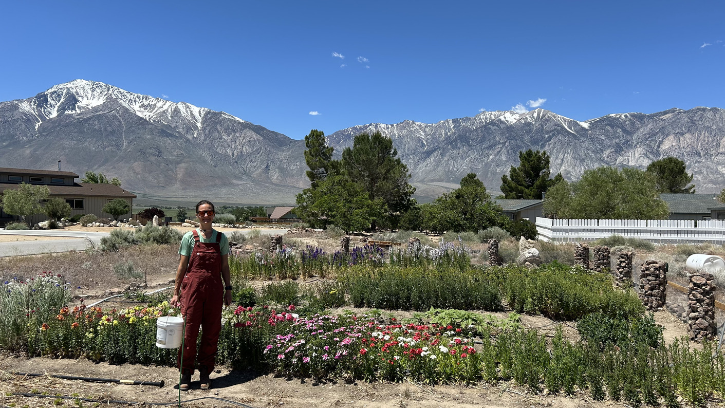 Sierra mountains near Bishop, California